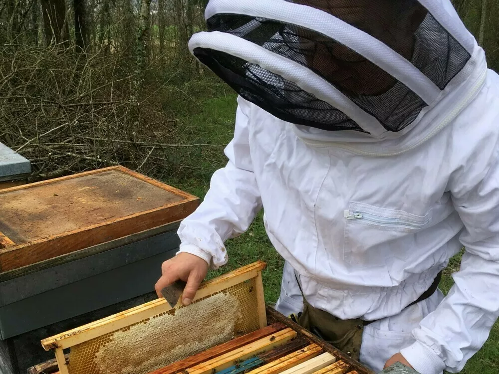 Un Amour d’apiculteur à Marigny (39) 